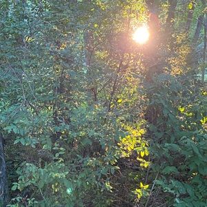 Meet your Posher, Ella